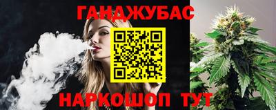 mdpv Новозыбков