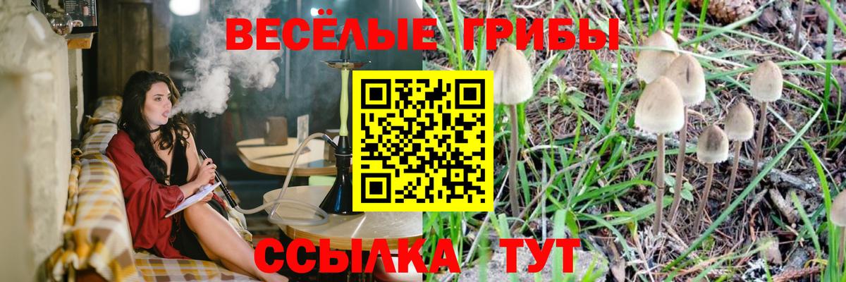 Кострома  Псилоцибиновые грибы мухоморы  Вход с VPN 