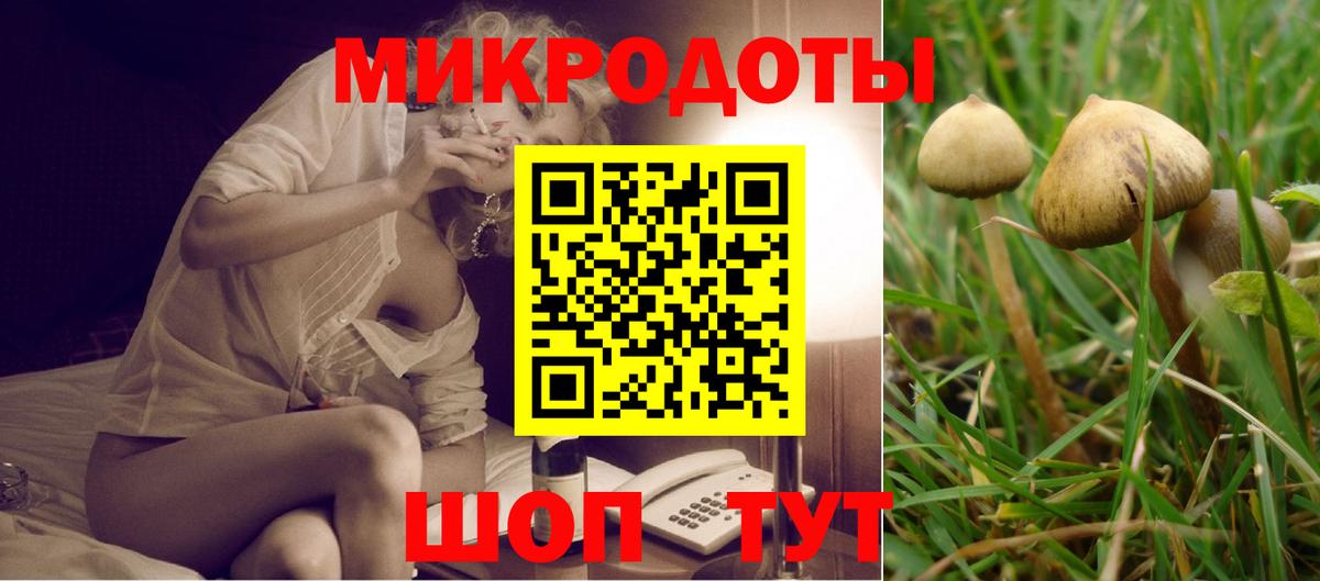 Галлюциногенные грибы Psilocybine cubensis Кострома